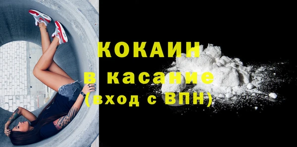 дживик Абаза