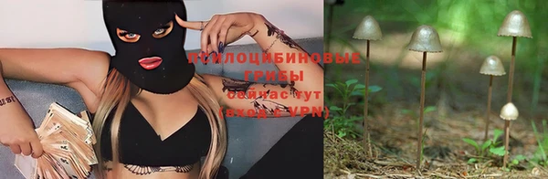 дживик Абаза