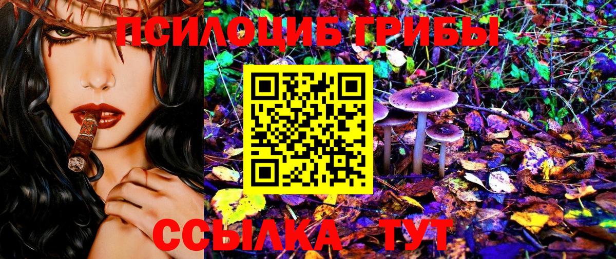 Галлюциногенные грибы Magic Shrooms Екатеринбург