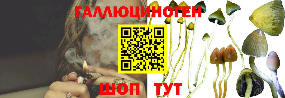 Галлюциногенные грибы Cubensis  Вход с VPN  Екатеринбург  Галлюциногенные грибы Magic Shrooms 